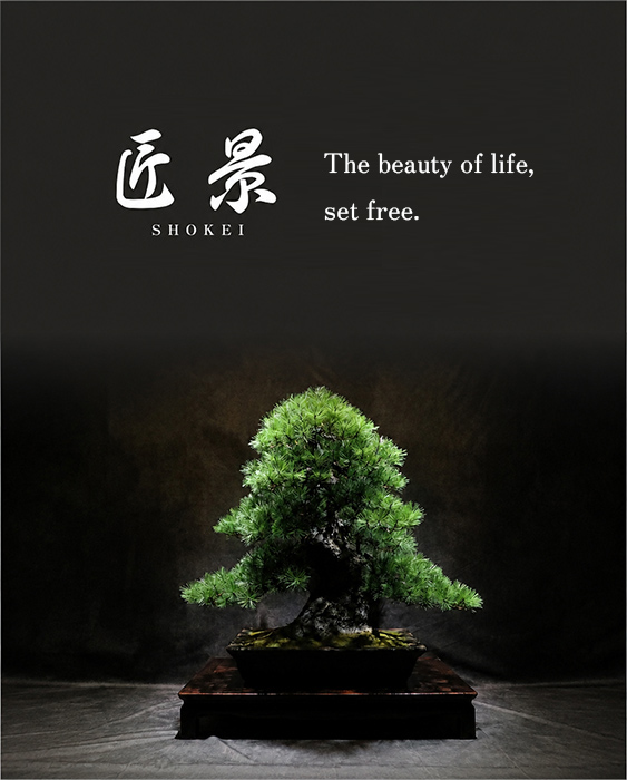 SHOKEI — The beauty of life, set free.
