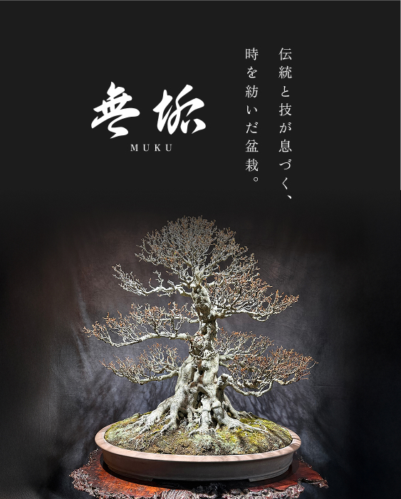 命の美しさを、もっと自由に。 匠景