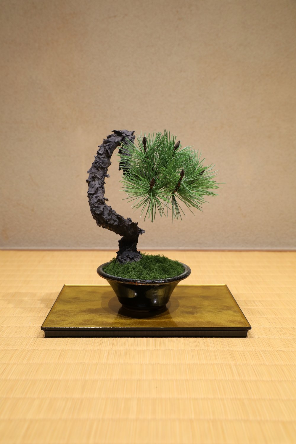 文人木